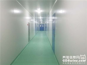 正業生物疫苗懸浮培養車間通過農業部GMP認證，引領生物制品產業新篇章
